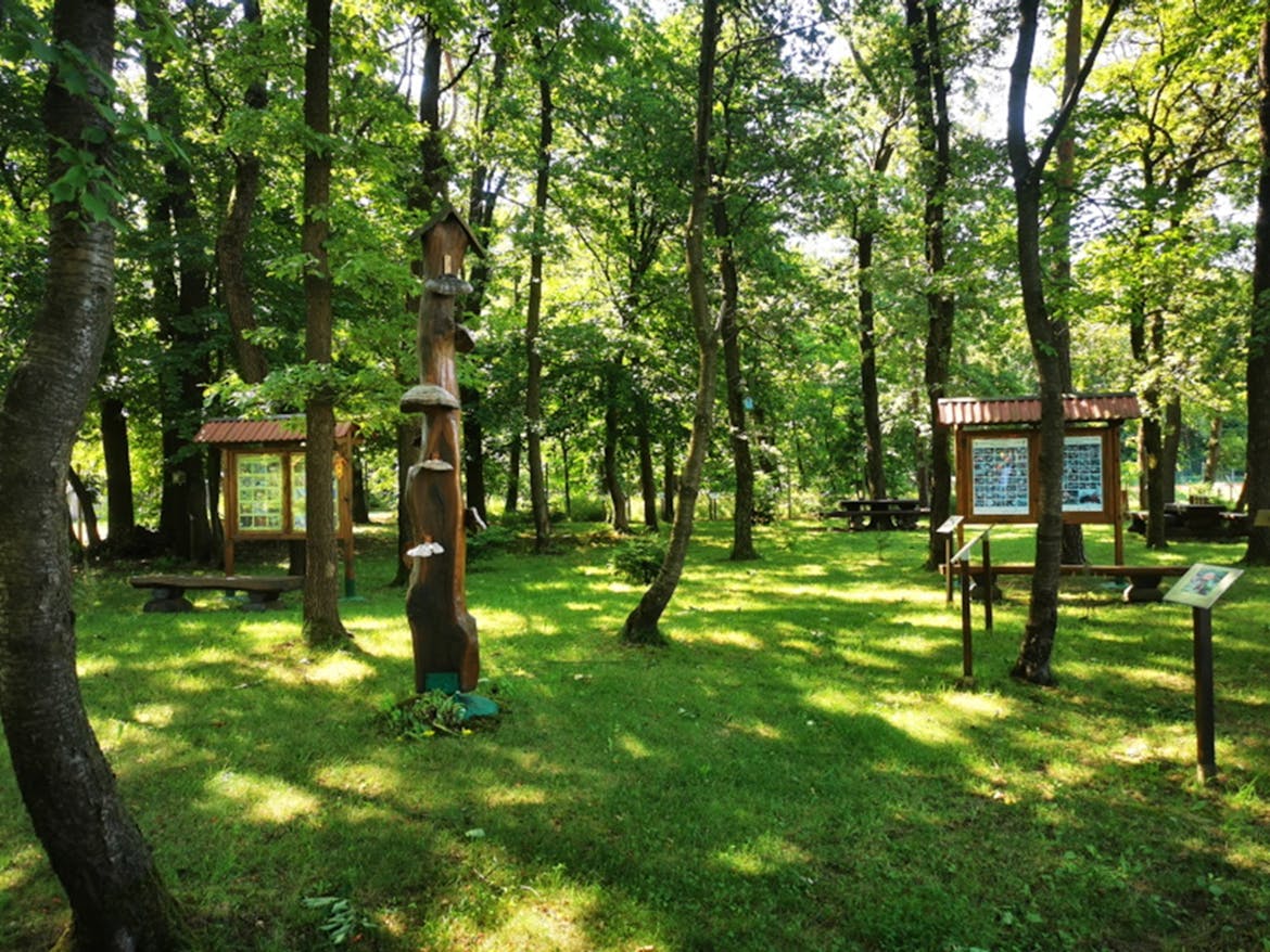 Gobarski park Snežka
